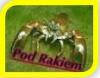  "Pod Rakiem" BISTRO- PUB 
